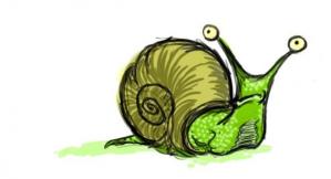 snaildoodle